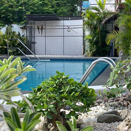 Parrot Resort Moalboal Kültér fotó