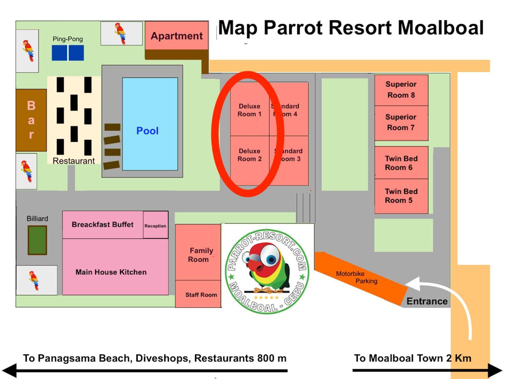 Parrot Resort Moalboal Szoba fotó