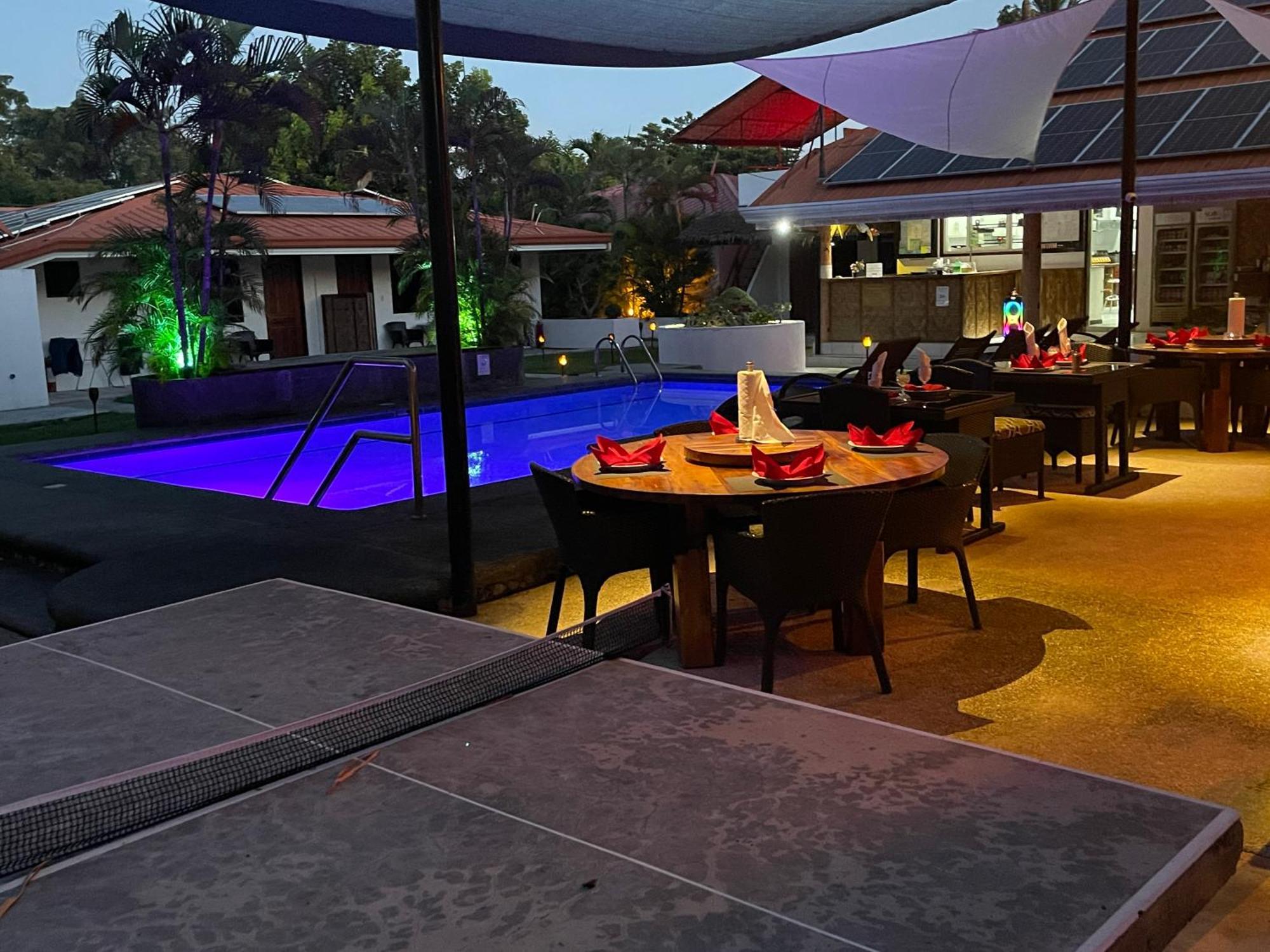 Parrot Resort Moalboal Kültér fotó