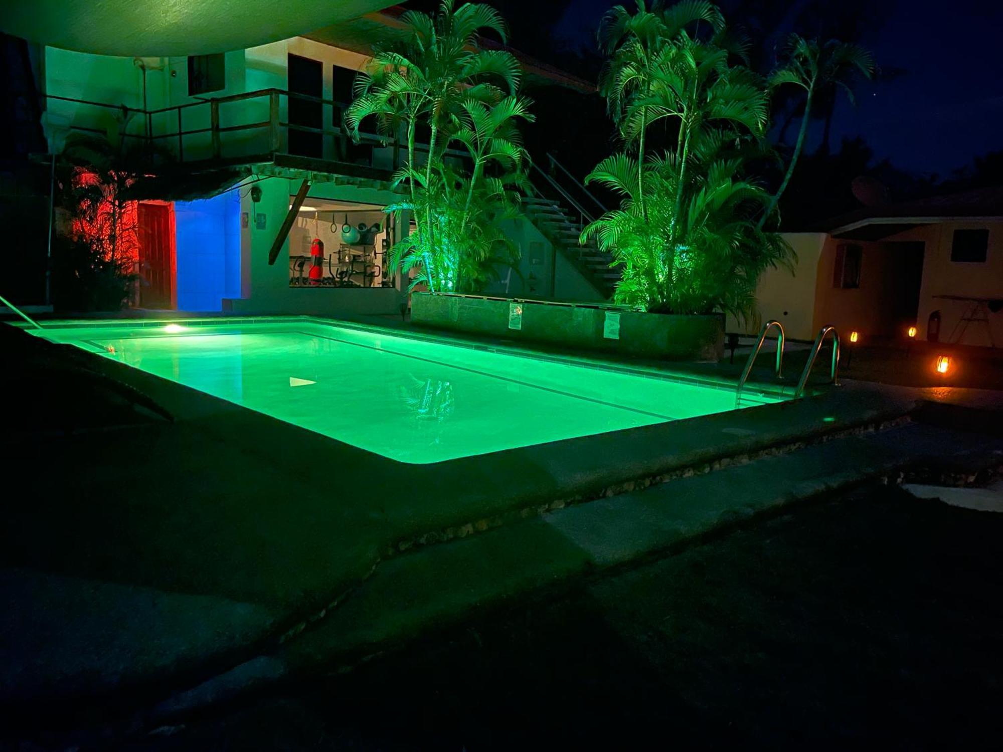 Parrot Resort Moalboal Kültér fotó